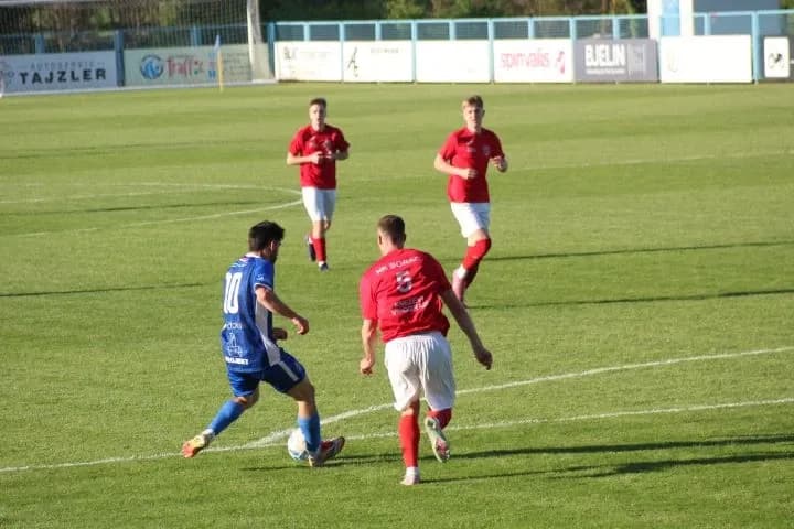 Slika