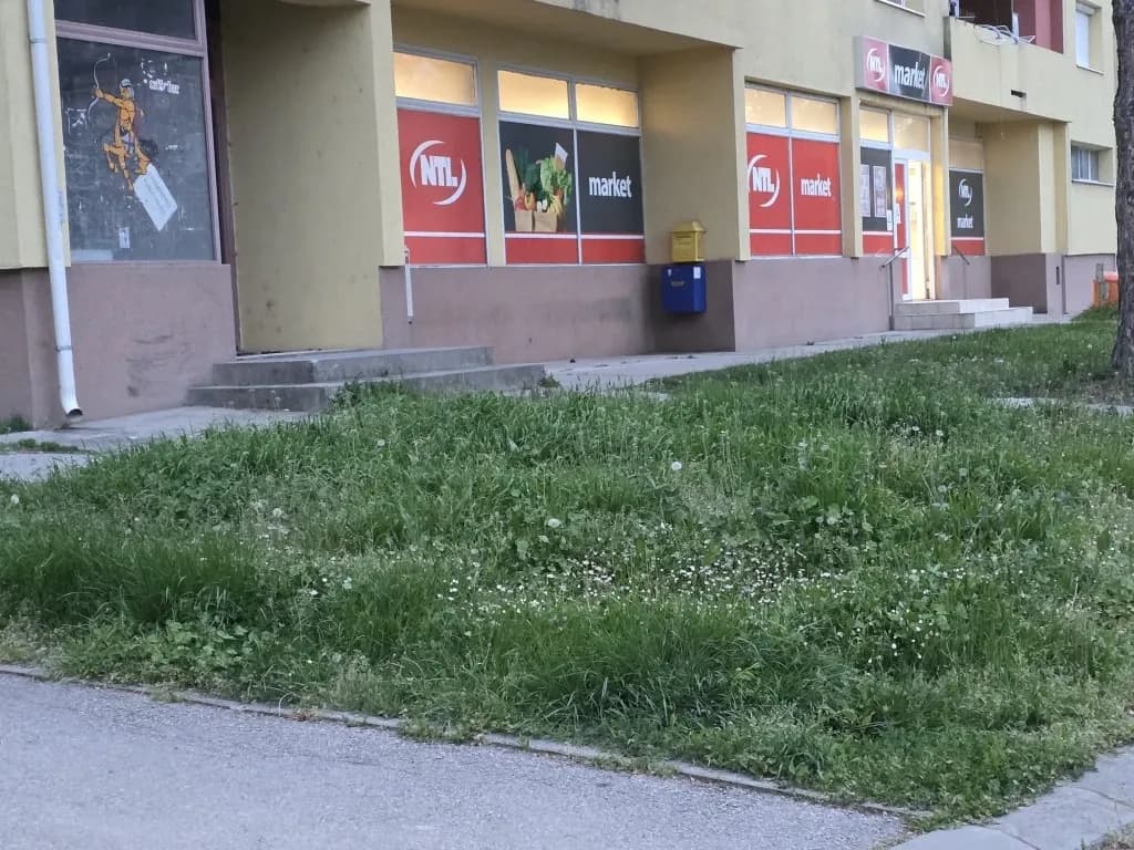 Slika