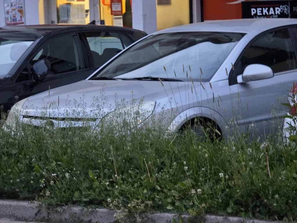 Slika