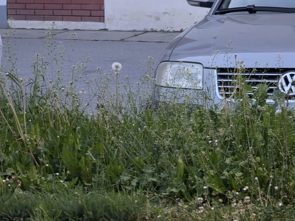 Slika