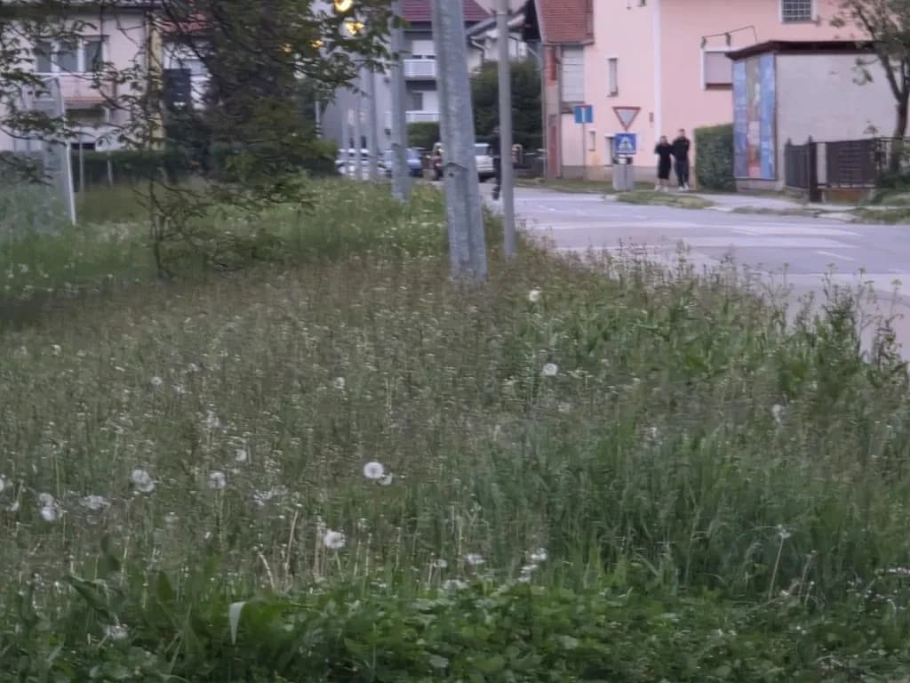 Slika