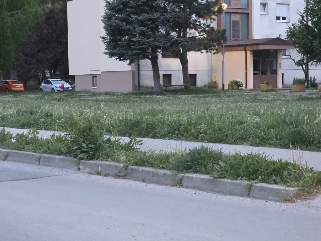 Slika