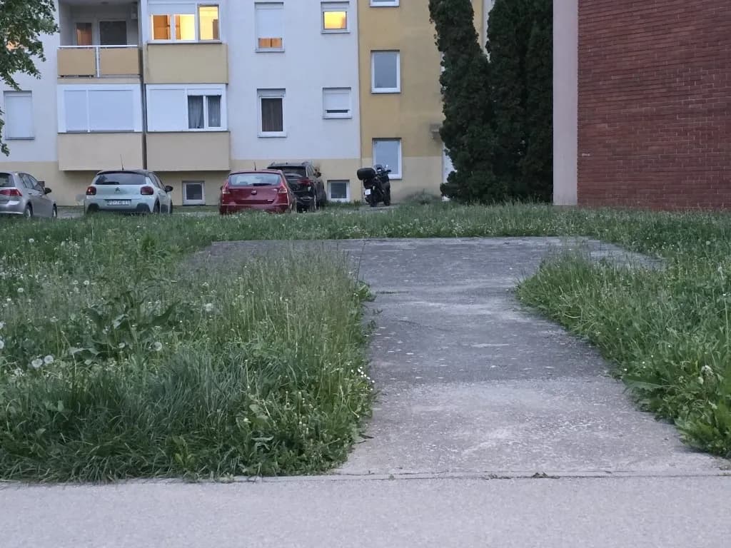 Slika