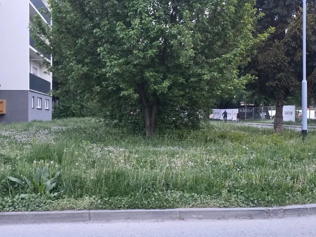 Slika