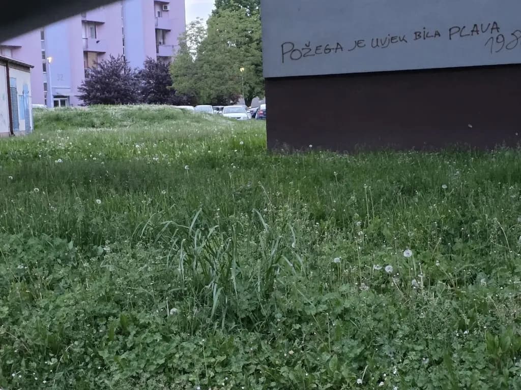 Slika