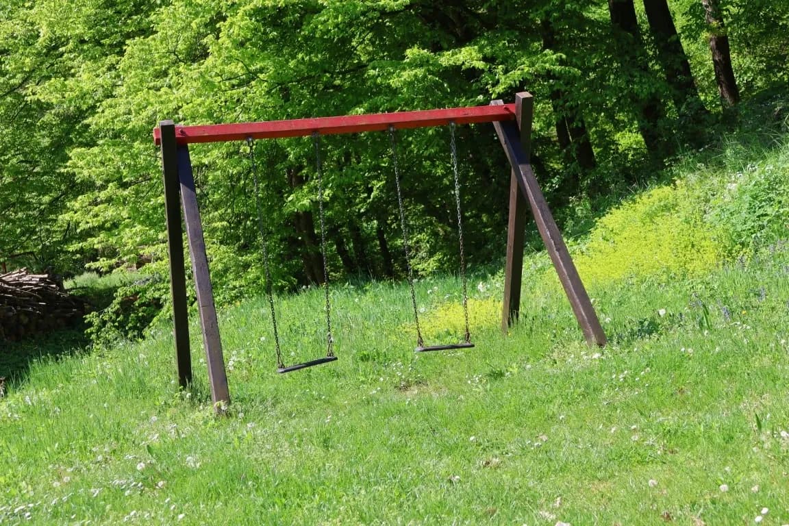 Slika