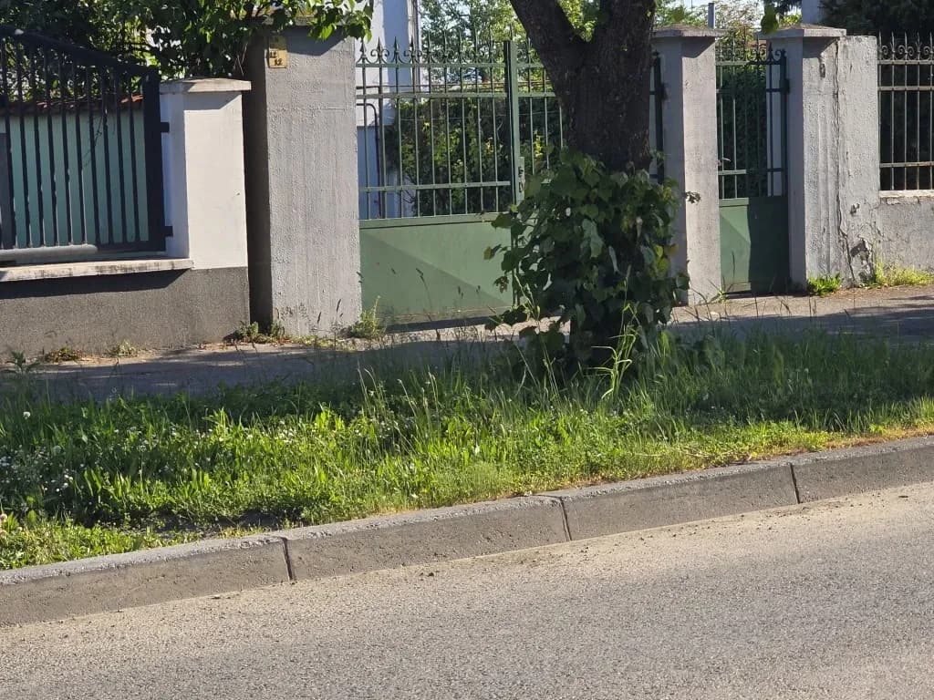 Slika