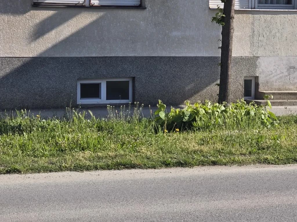 Slika