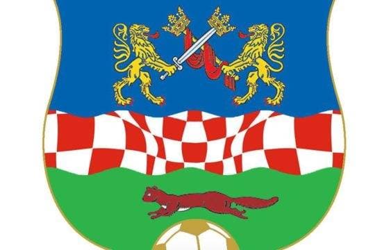 Slika
