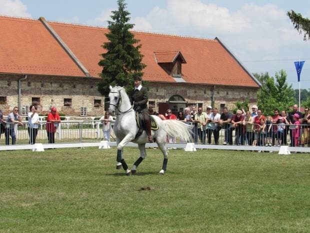 Slika