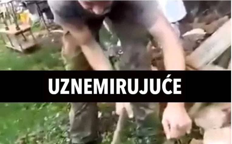 Slika