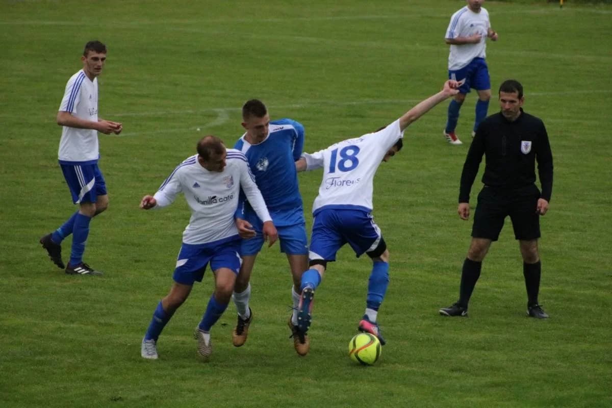 Slika