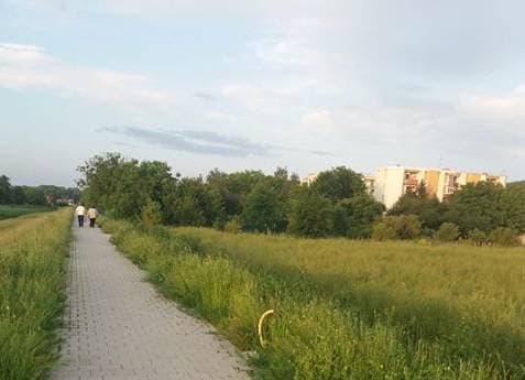 Slika