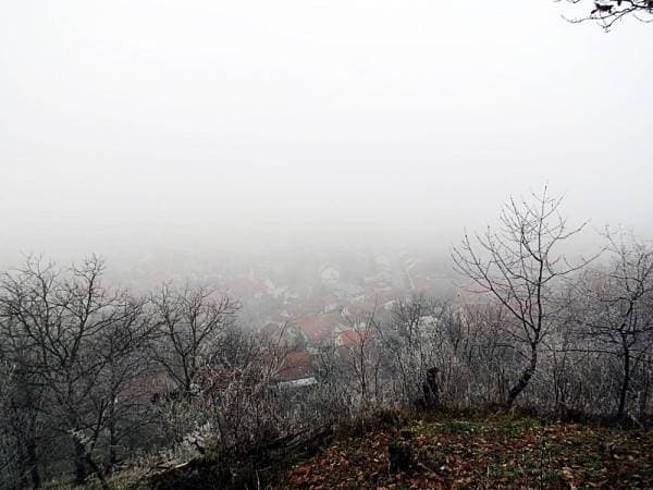 Slika