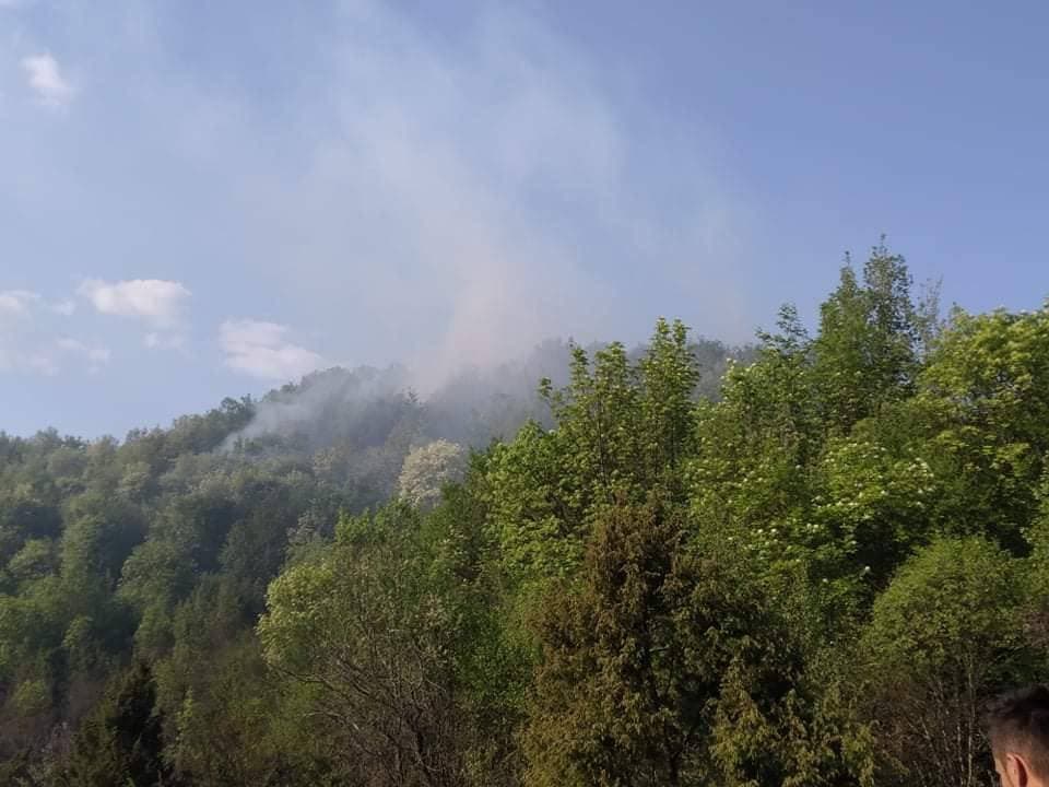Slika