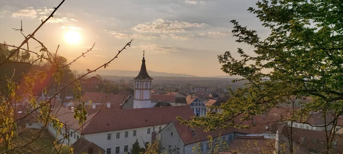 Slika