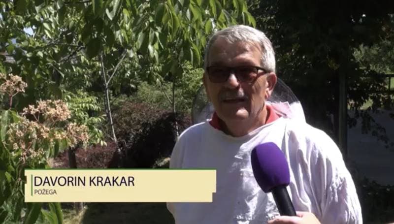 Slika