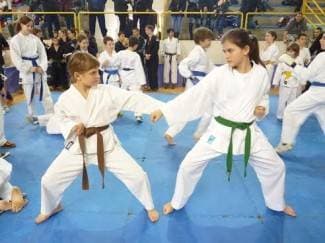 Požeški karataši osvojili čak 20 medalja