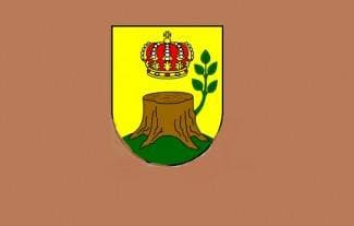 Rezultati izbora za općinskog načelnika Općine Čaglin