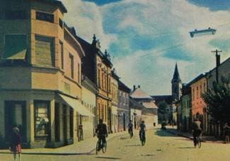 Od barokne zgrade do gradskog botaničkog vrta