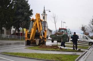Uređuje se drvored i na zapadnom ulazu u grad: Posađeni javori u Zagrebačkoj