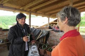 Po Trudine rajčice došla čak iz Bosne: ¨Ovdje je toliko neobičnih vrsta¨