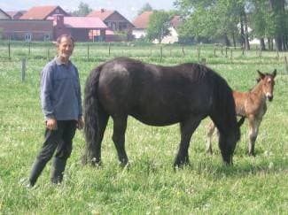 Jednima krave i konji smetaju, a drugima ne