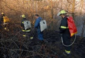 Papuk u plamenu: Opet izbio požar u šumi kod G. Vrhovaca
