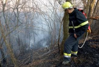 Požari na čaglinskom području: Gori šuma kod Vlatkovca
