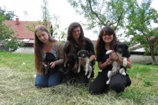 ¨Previše je napuštenih pasa. Sterilizirajte svoje životinje, to je prvo i osnovno¨