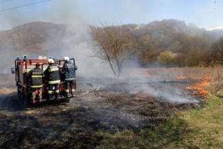 Gorjela strništa kod Zarilca, Trnovca i Kaptola