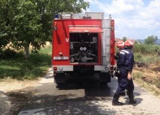 Požar na otvorenom: Izgorio voćnjak u Antunovcu