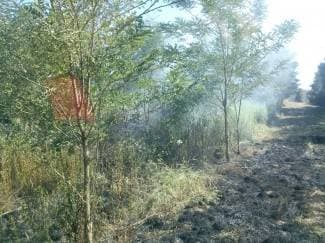 Zapalila se šikara iznad Frkljevaca, jedna osoba ozlijeđena