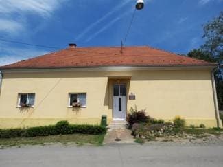 Vatrogasci uklonili veliko gnijezdo stršljena u područnoj školi