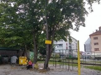 Možete odahnuti, uklonjena je opasna grana kod Kempfove škole