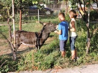 Jura je omiljen među djecom: ¨Najviše voli trčati dvorištem. Prava je maza i obožava se češkati¨