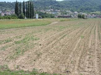 ¨Poljoprivrednici dolaze očajni i sa sobom donose stradale biljke¨