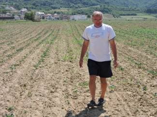 Suša ga baca u očaj: ¨Problem je u visokim temperaturama, povrće redovito zalijevamo¨