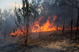 U Potočanima i Biškupcima gorjela trava i nisko raslinje