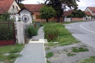 ¨Neka netko sredi okućnicu, ima štakora i peludnih trava¨