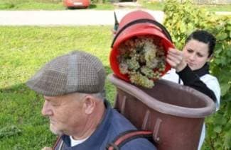Prvo vino kaptolačke Udruge vinogradara: Degustirat ćemo ga na Martinju i u drugim prigodama