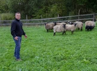 Goran uzgaja romanovske carske ovce: ¨Janje se dvaput godišnje, a prodaja mesa je osigurana¨