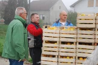 Podijeljeno 23 tone mandarina: Vitaminske donacije dobili vrtići, škole, udruge i bolnica