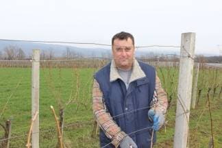Dobra ekipa 2 hektara obreže za 10 dana: ¨Vinograd treba slugu, a ne gazdu¨
