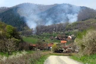 Gori šuma u Škrabutniku; na terenu 20-ak vatrogasaca