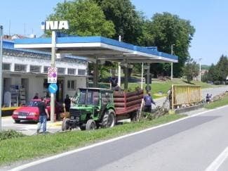 Čempresi uklonjeni, ali sanacija još nije krenula