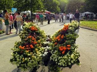 Lipičani će na Sajmu cvijeća snimati ¨Happy¨