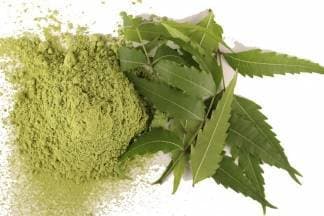 Ljekoviti recept: neem, prirodni lijek star 5000 godina