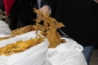¨Posjedovao pola kilograma duhana¨