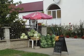 ¨Izložba¨ kupusa u Alilovcima